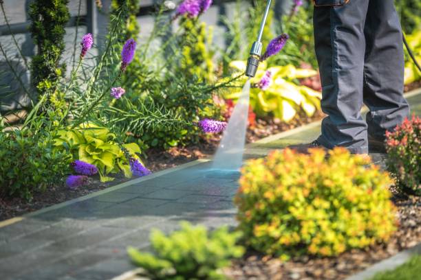 Best Dumpster Area Cleaning  in Bastrop, TX
